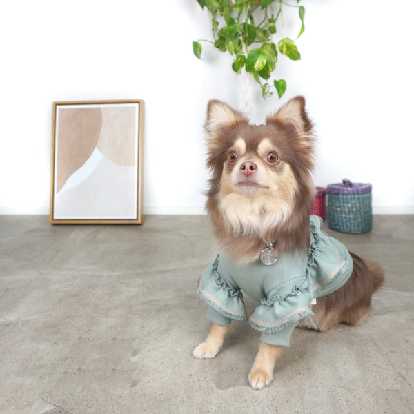 画像をギャラリービューアに読み込む, フリンジミニ裏毛Tシャツ(ピンク)