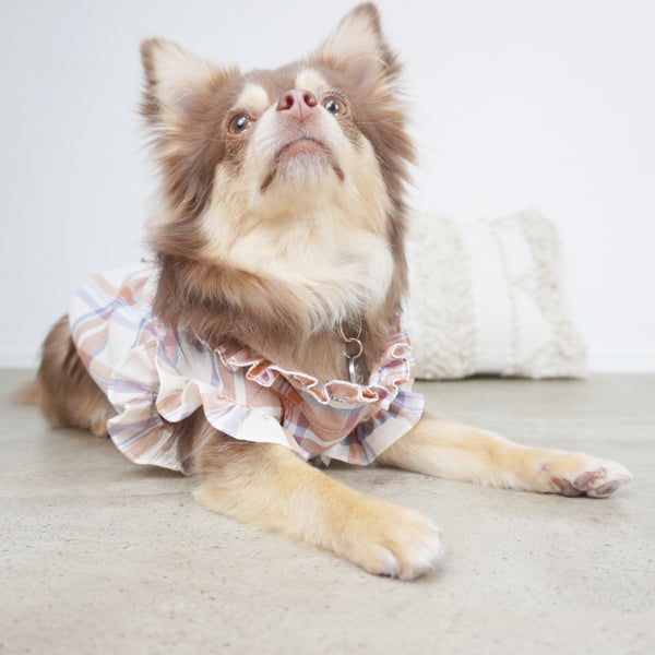 画像をギャラリービューアに読み込む, チェックフリルブラウス(ネイビー)