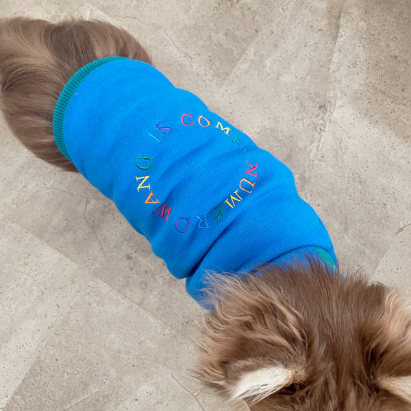 画像をギャラリービューアに読み込む, Rainbow embroidery warm sweatshirt(レインボー刺繍あったか裏起毛スエット)