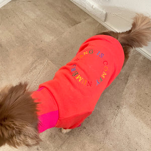 Rainbow embroidery warm sweatshirt(レインボー刺繍あったか裏起毛スエット)