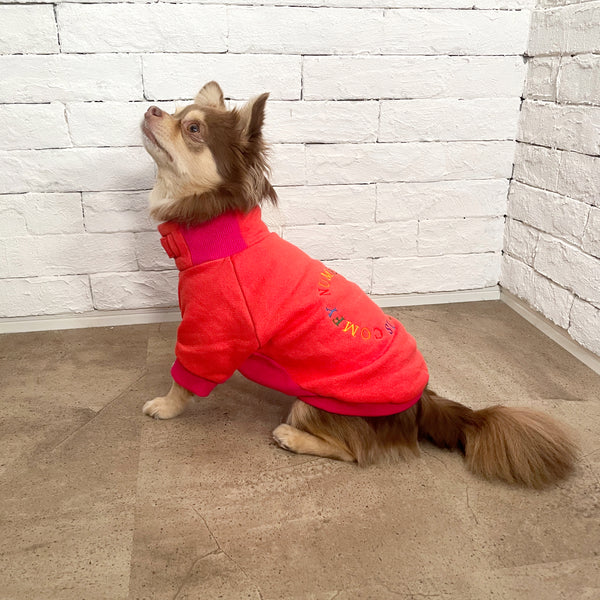 画像をギャラリービューアに読み込む, Rainbow embroidery warm sweatshirt(レインボー刺繍あったか裏起毛スエット)