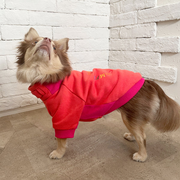 画像をギャラリービューアに読み込む, Rainbow embroidery warm sweatshirt(レインボー刺繍あったか裏起毛スエット)