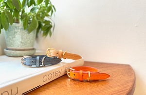 Happy pig leather Collar(豚革首輪)