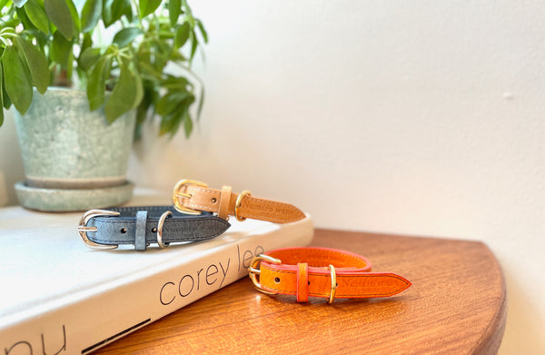 画像をギャラリービューアに読み込む, Happy pig leather Collar(豚革首輪)