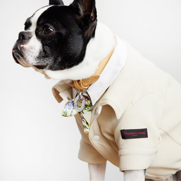 画像をギャラリービューアに読み込む, Happy pig leather Collar(豚革首輪)