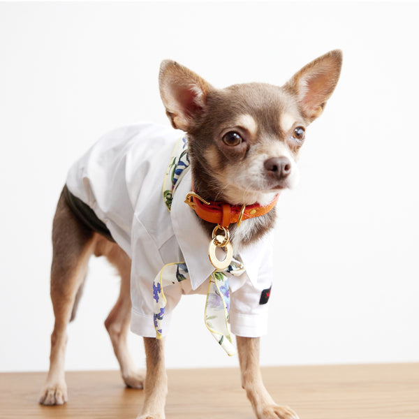 画像をギャラリービューアに読み込む, Happy pig leather Collar(豚革首輪)