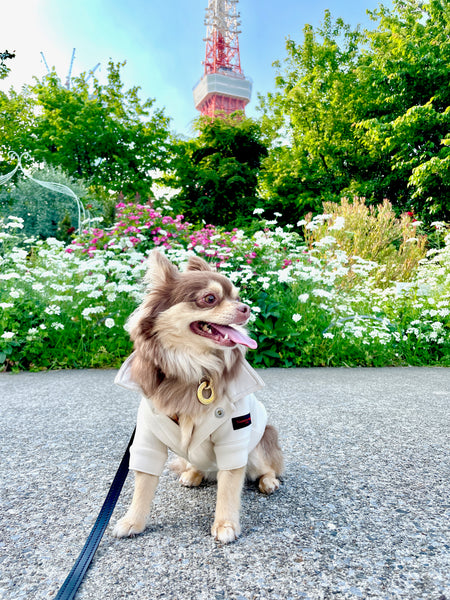 画像をギャラリービューアに読み込む, Personalize your partner Tag(片面刻印オリジナルお名前チャーム)