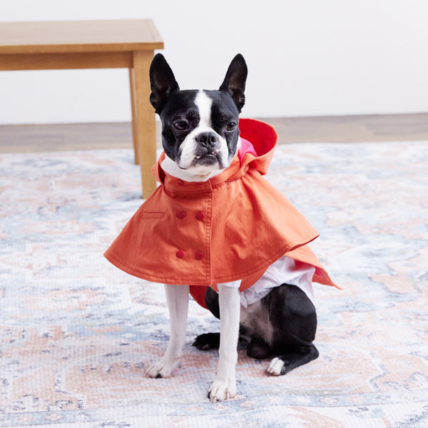 画像をギャラリービューアに読み込む, Water proof cape coat(撥水コート)(Blood orange)