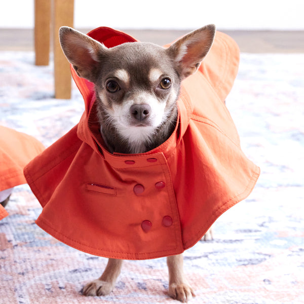 画像をギャラリービューアに読み込む, Water proof cape coat(撥水コート)(Blood orange)