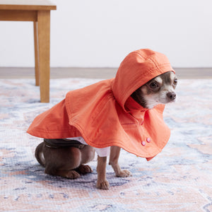Water proof cape coat(撥水コート)(Blood orange)