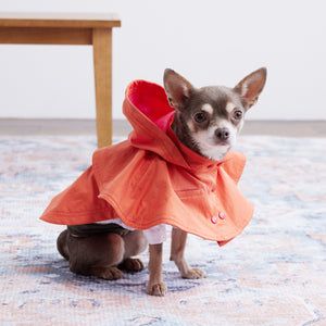 Water proof cape coat(撥水コート)(Blood orange)