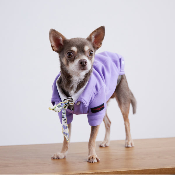 画像をギャラリービューアに読み込む, Soft cut&sewn jacket(ダンボールニット)(Lavender)