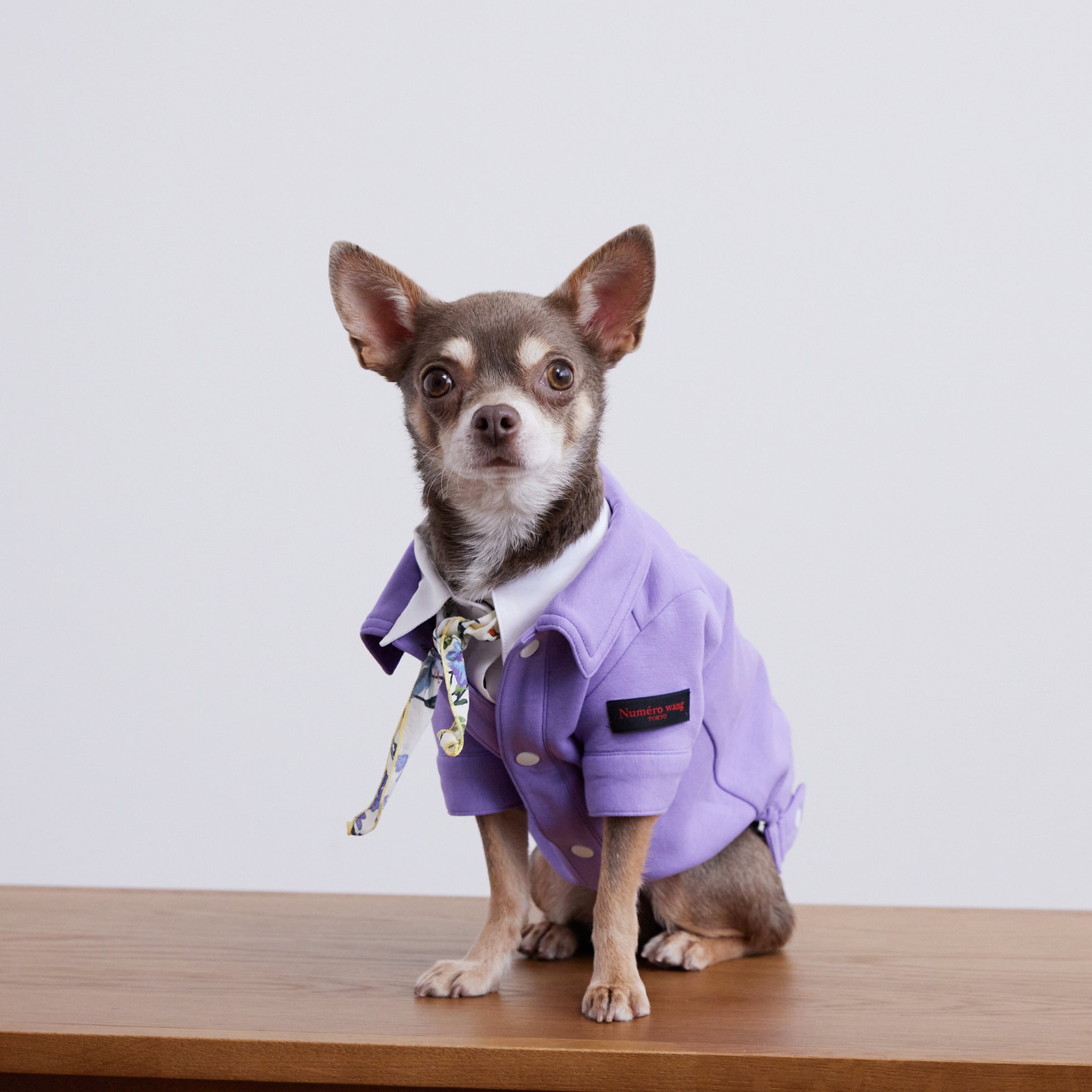 Soft cut&sewn jacket(ﾀﾞﾝﾎﾞｰﾙﾆｯﾄ）(Lavender) – Numéro wang tokyo