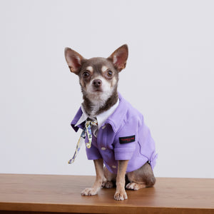Soft cut&sewn jacket(ダンボールニット)(Lavender)