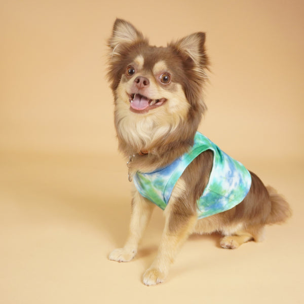 画像をギャラリービューアに読み込む, タイダイトップス(グリーン)