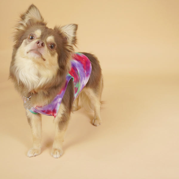 画像をギャラリービューアに読み込む, タイダイトップス(マゼンタ)