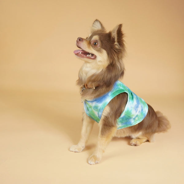 画像をギャラリービューアに読み込む, タイダイトップス(グリーン)