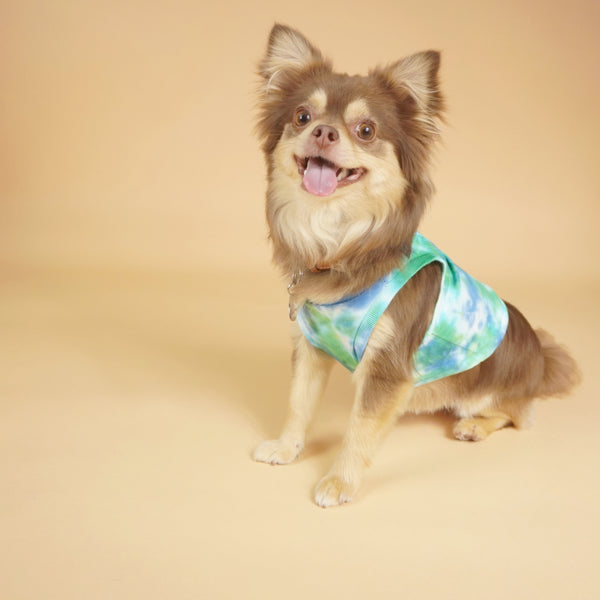 画像をギャラリービューアに読み込む, タイダイトップス(グリーン)