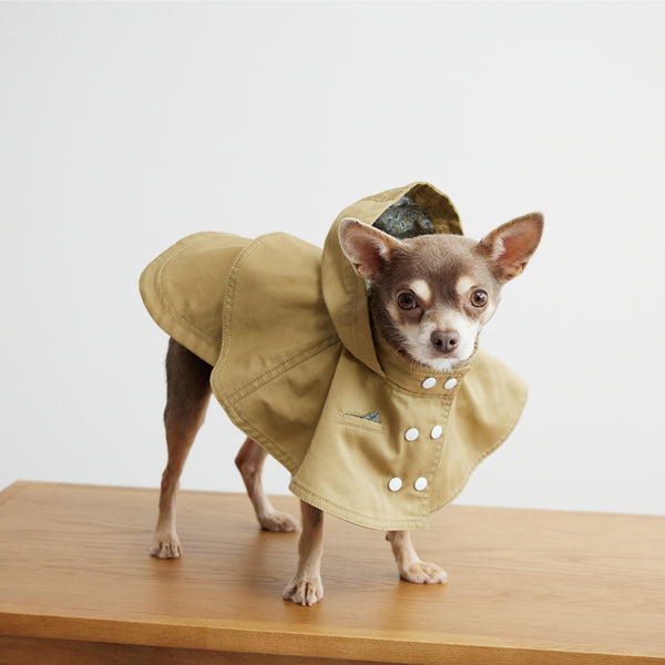 画像をギャラリービューアに読み込む, Cape chino coat