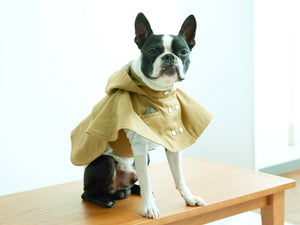 Cape chino coat