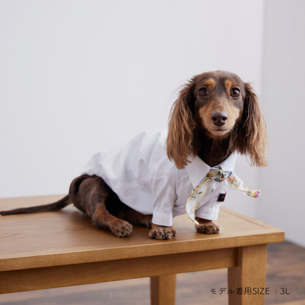 画像をギャラリービューアに読み込む, Stretch shirt(ストレッチ)White