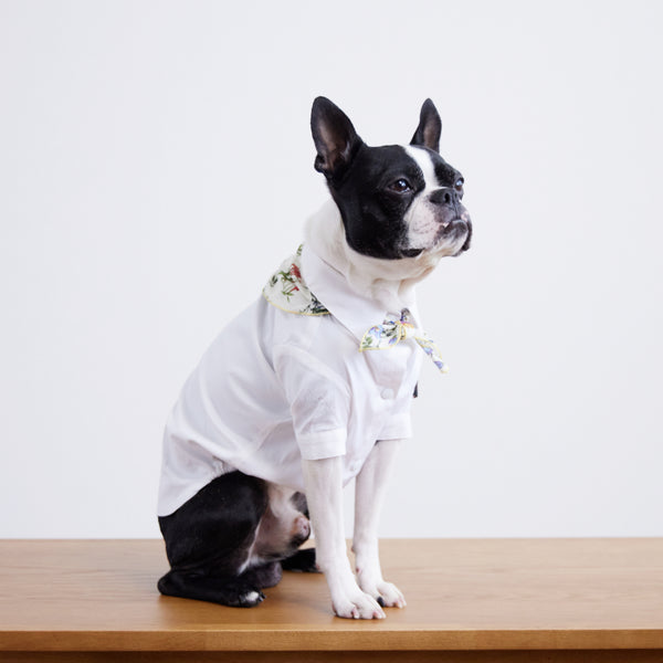 画像をギャラリービューアに読み込む, Stretch shirt(ストレッチ)White