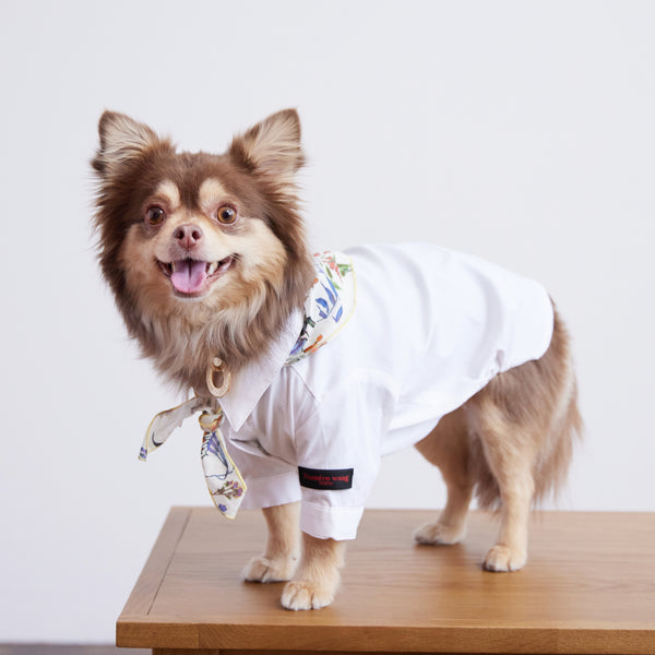 画像をギャラリービューアに読み込む, Stretch shirt(ストレッチ)White