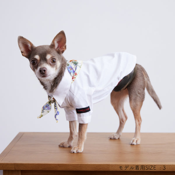 画像をギャラリービューアに読み込む, Stretch shirt(ストレッチ)White