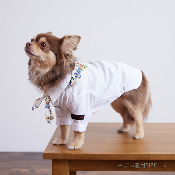 画像をギャラリービューアに読み込む, Stretch shirt(ストレッチ)White