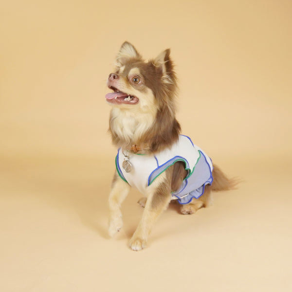 画像をギャラリービューアに読み込む, ブロッキングアクセントメロー(ブルー)