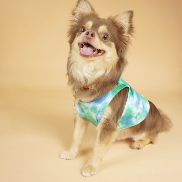 画像をギャラリービューアに読み込む, タイダイトップス(グリーン)