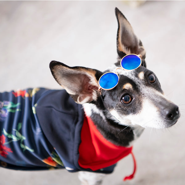 画像をギャラリービューアに読み込む, Antique flower hoodie(アンティークフラワーフーディー)Navy