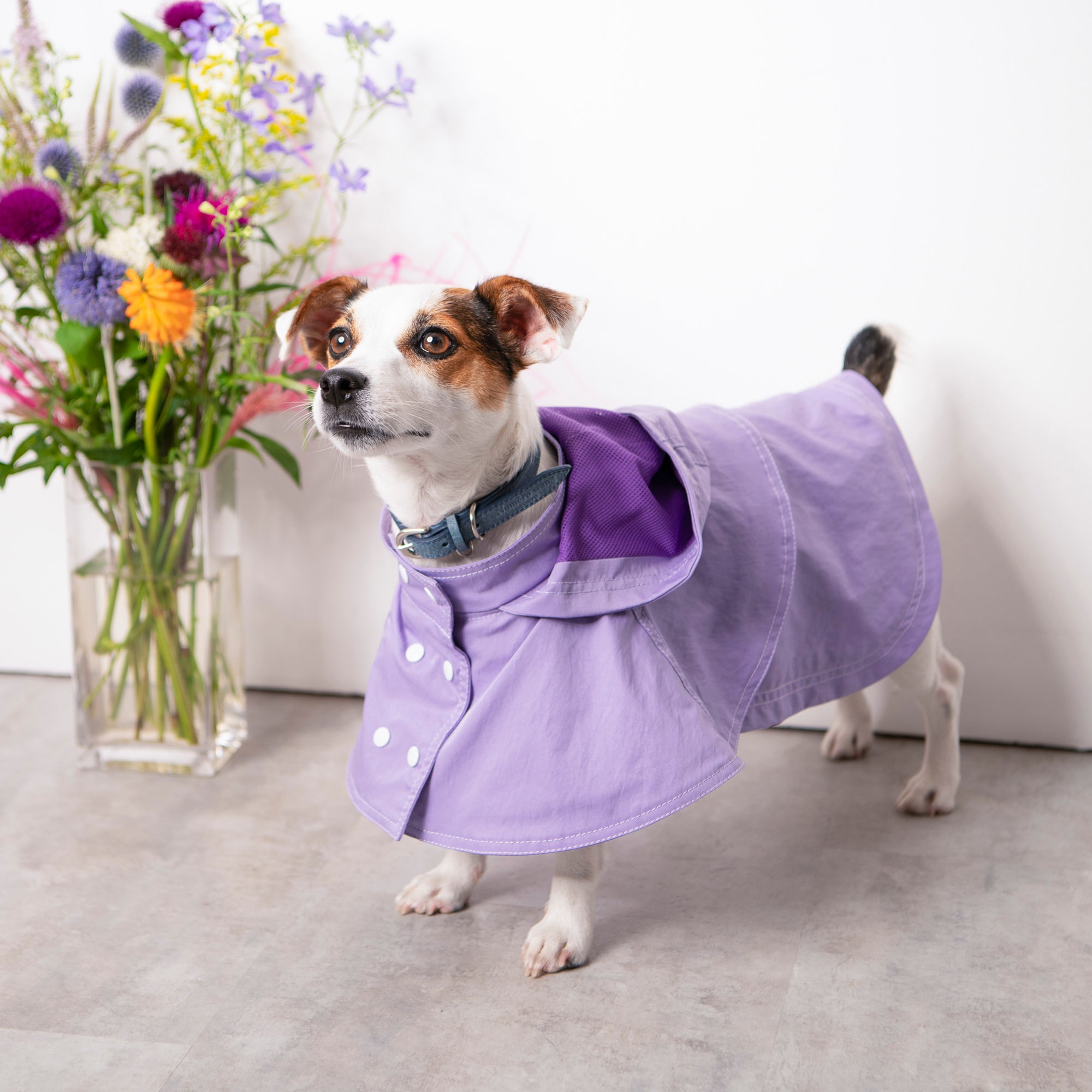 Water proof cape coat(撥水ｺｰﾄ）(Lavender) – Numéro wang tokyo